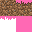 Texture for Grass Block