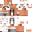 Texture for Fox