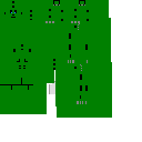 Texture for lizerd