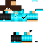 Texture for Steve