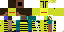 Texture for wasp585