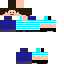 Texture for Steve Mio