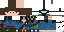 Texture for Fallout 3 Survivor