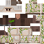 Texture for Iron Golem