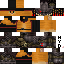 Texture for gato predator