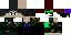 Texture for michel