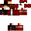 Texture for SKIN