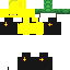 Texture for cat