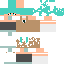 Texture for h2