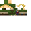 Texture for link2
