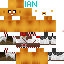 Texture for joshua