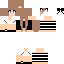 Texture for Katti