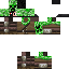 Texture for creepp