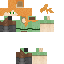 Texture for alex