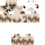 Texture for Tard the Grumpy cat