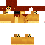 Texture for LION