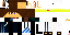Texture for GincaBR63