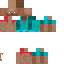 Texture for vixii