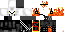 Texture for das