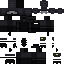 Texture for SWAT