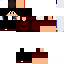 Texture for BrenoCRF