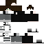 Texture for LupinGamer