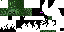 Texture for enderzombie