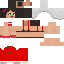 Texture for Librarian
