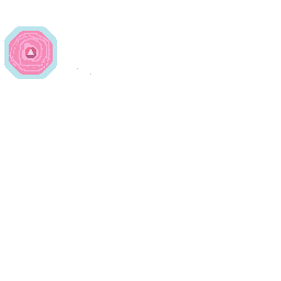 Texture for Steven's Sheild