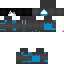 Texture for DARP NINJA