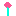 Texture for Diffrent-Colored Allium