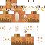 Texture for Fox