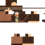 Texture for Caua arque