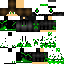 Texture for steve