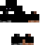 Texture for ninja