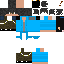 Texture for snow mafic