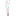Texture for joint