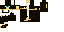 Texture for Cat