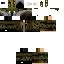 Texture for springter 64