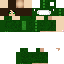 Texture for dino