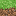 Texture for Grass Block Side (Improved)
