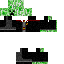 Texture for creeper potter