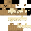Texture for SirSamuelSK
