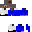 Texture for wfd