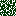 Texture for Folha de Pinheiro
