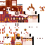 Texture for custom1