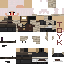Texture for dunny