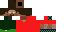 Texture for the steve