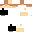 Texture for xreaip