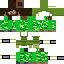 Texture for mcs2